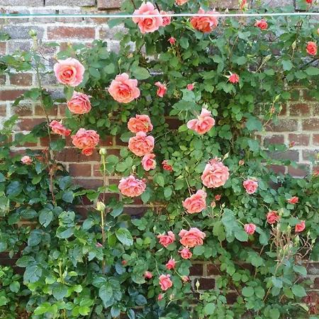 Chez Hortense Bed & Breakfast 3*