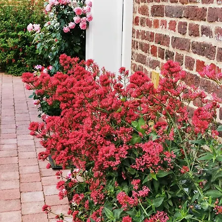 Bed & Breakfast Chez Hortense 3*