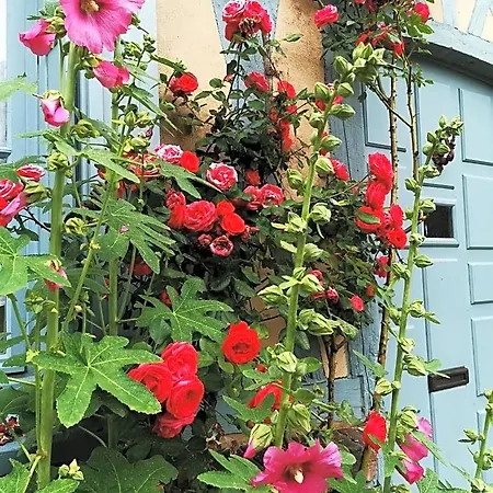 Chez Hortense B&B 3*