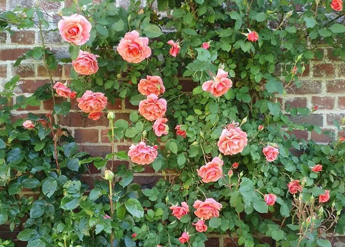 Chez Hortense Bed & Breakfast 3*